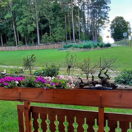 Ferienwohnung/ Ferienresidenze Manuela Appartamento Obertrubach